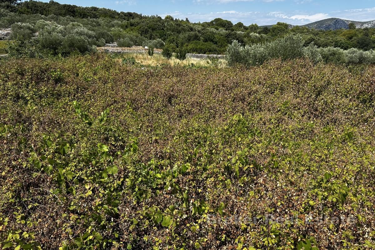 Земельный участок с видом на море