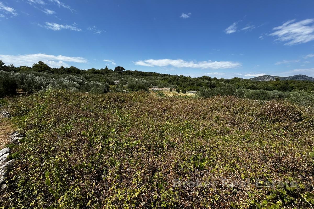 Земельный участок с видом на море