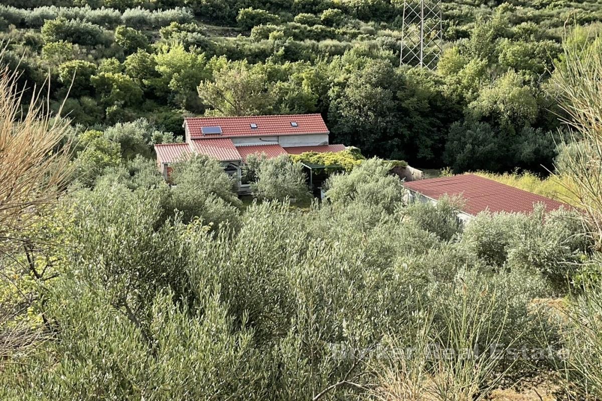 Autentisk steinhus i naturen
