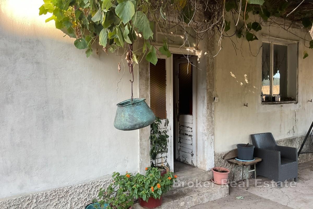 Hus i vingårdsområde