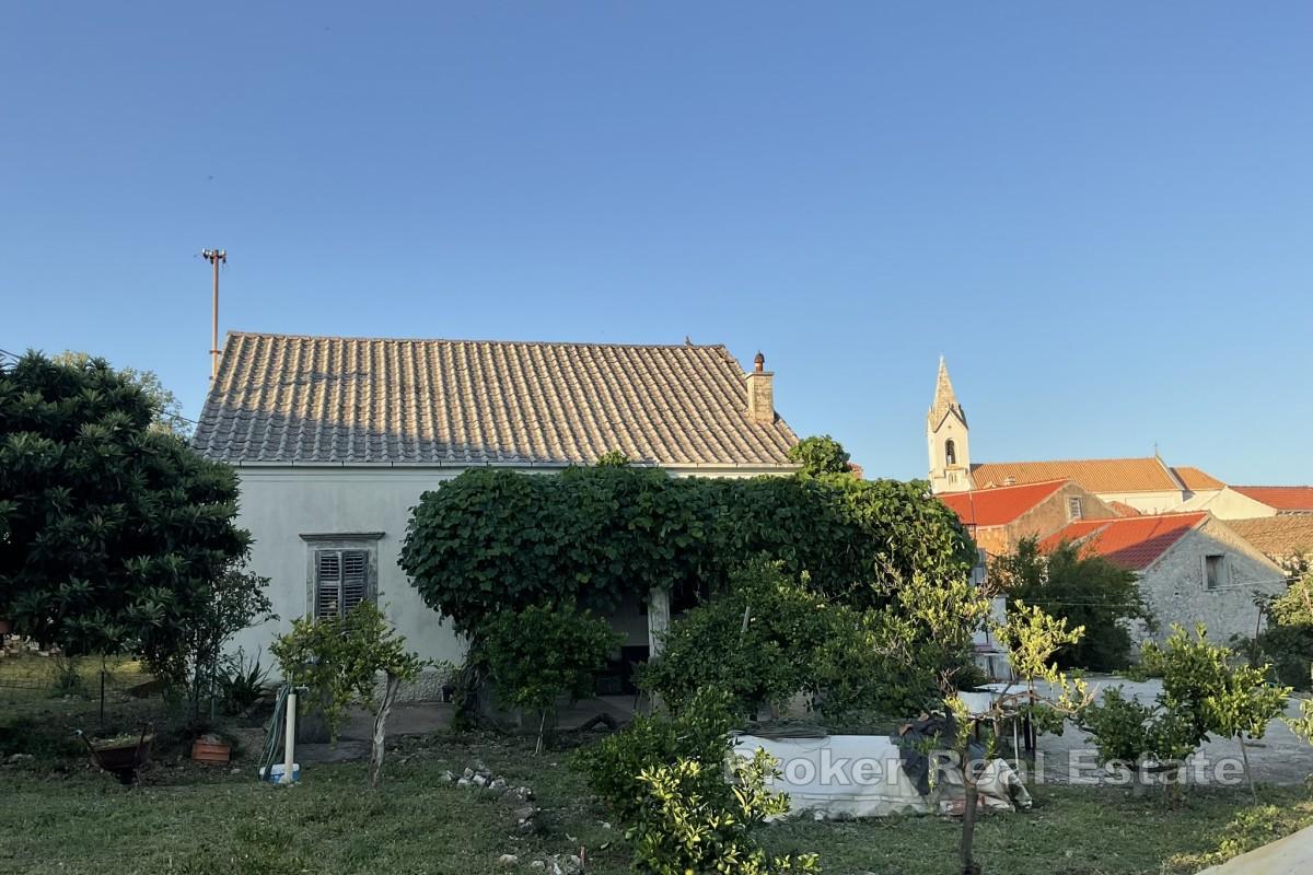 Hus i vingårdsområde