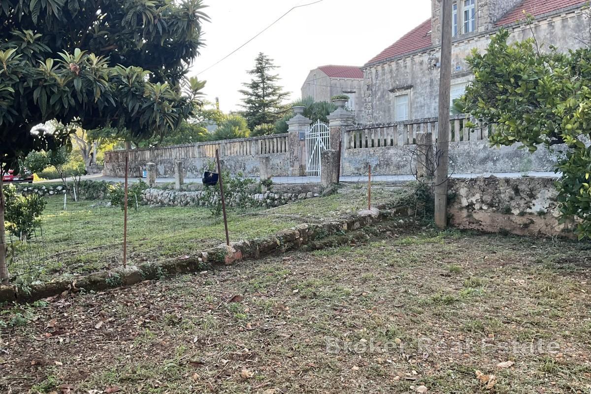 Hus i vingårdsområde