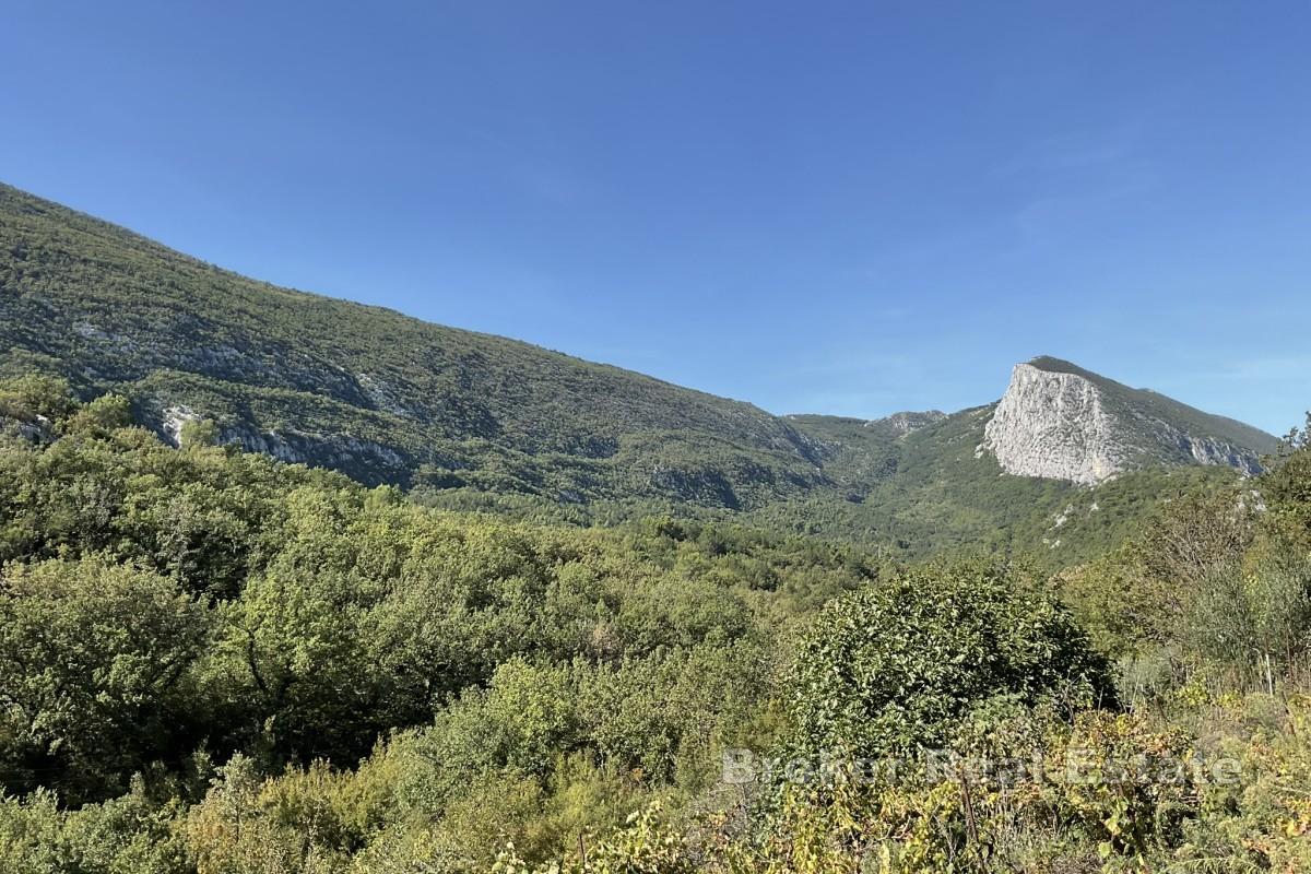 Baugrundstück im dalmatinischen Hinterland