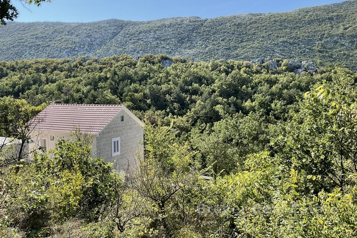 Stavební pozemek v dalmatském vnitrozemí