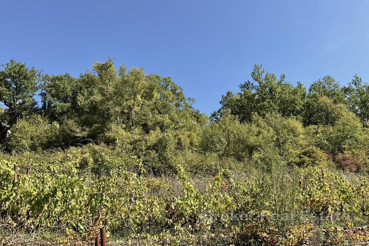 Stavební pozemek v dalmatském vnitrozemí