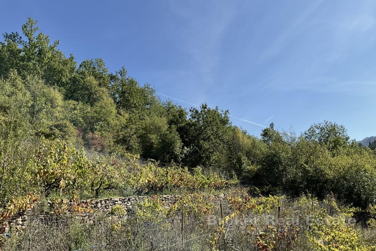 Stavební pozemek v dalmatském vnitrozemí