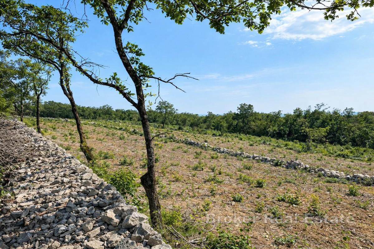 Terrain constructible avec vue mer