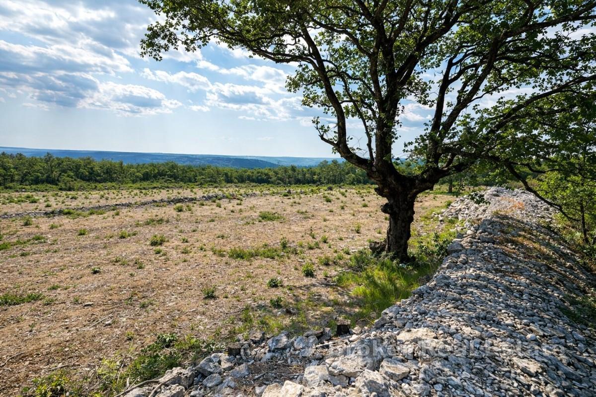 Terrain constructible avec vue mer