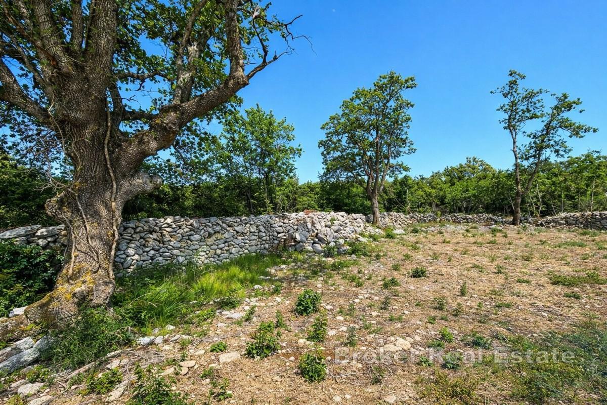 Terrain constructible avec vue mer