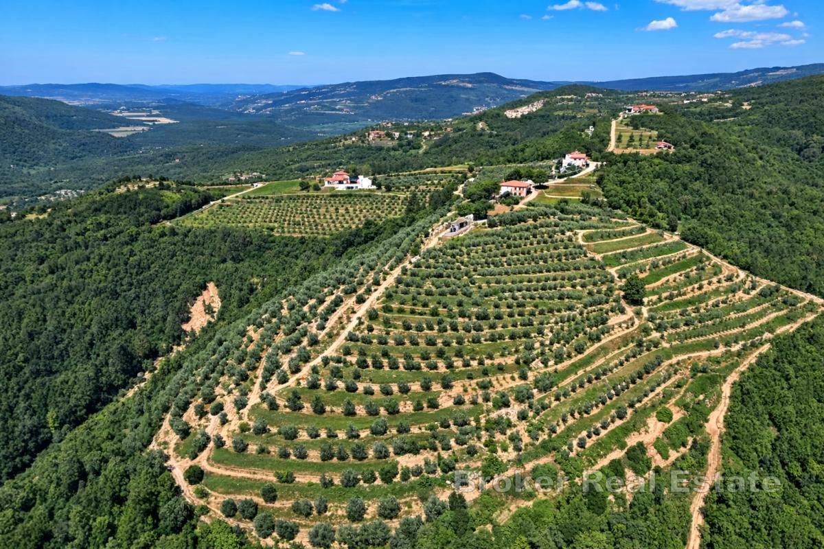 Unik egendom på 17 hektar med panoramautsikt över Motovun och Butonigasjön
