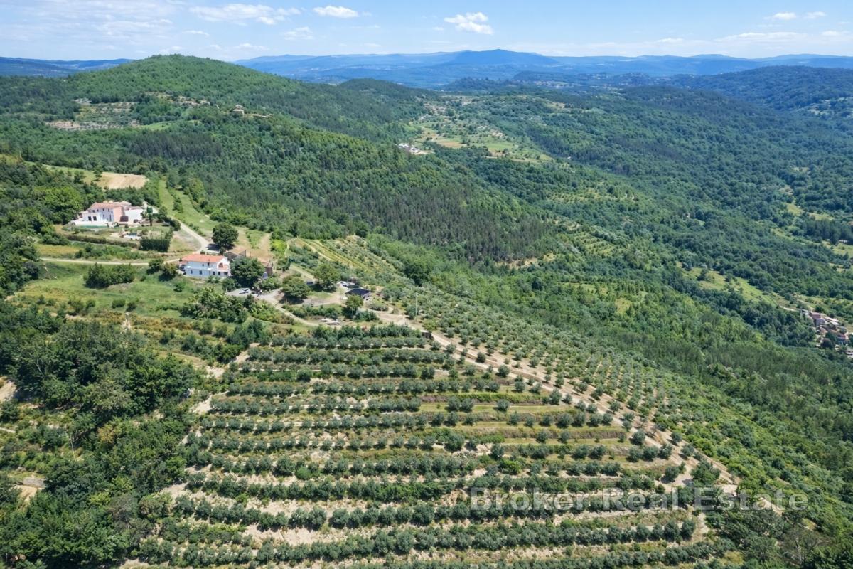 Unik egendom på 17 hektar med panoramautsikt över Motovun och Butonigasjön