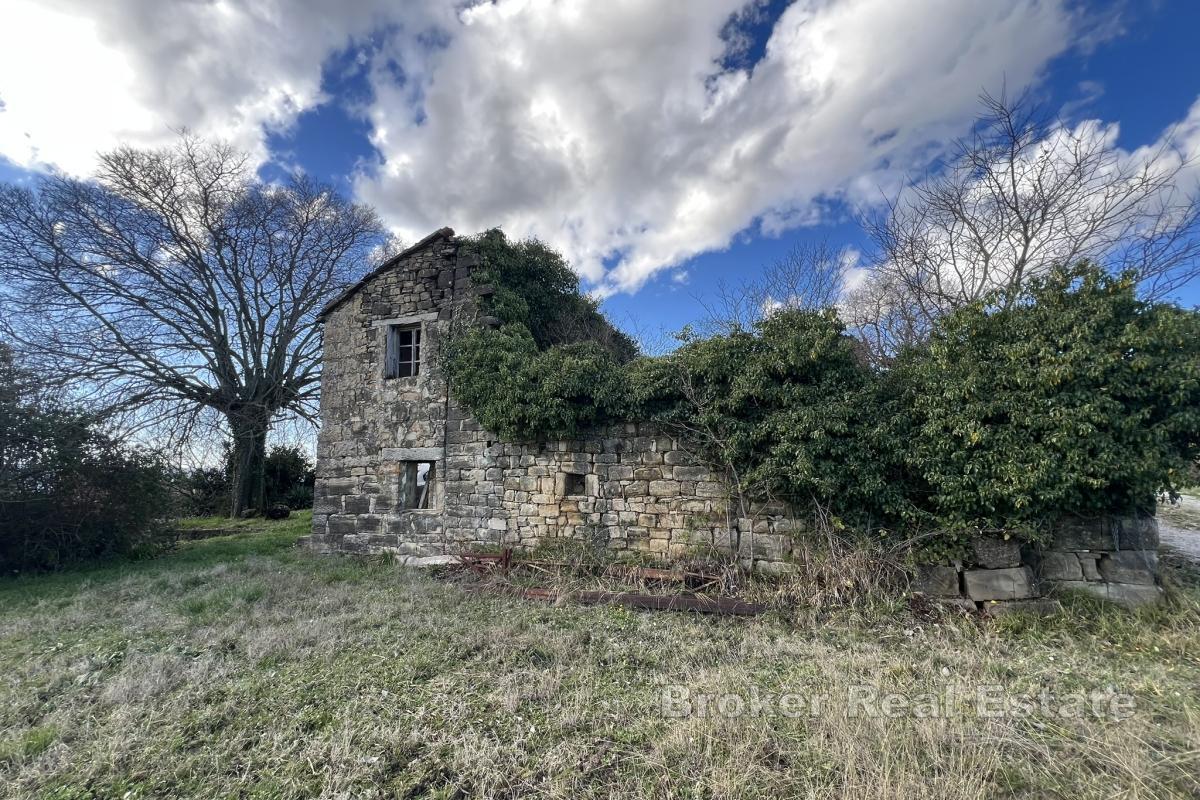 Domaine unique de 17 ha offrant une vue panoramique sur Motovun et le lac Butoniga