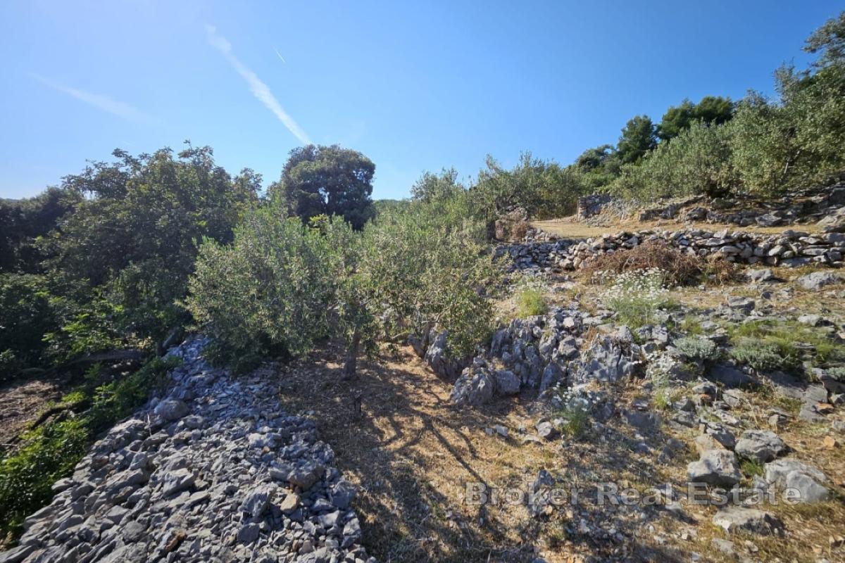 Terrain avec vue sur la mer
