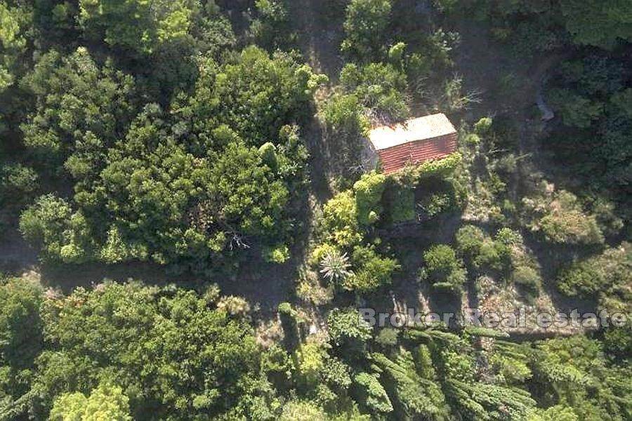 Старый каменный дом на большом участке