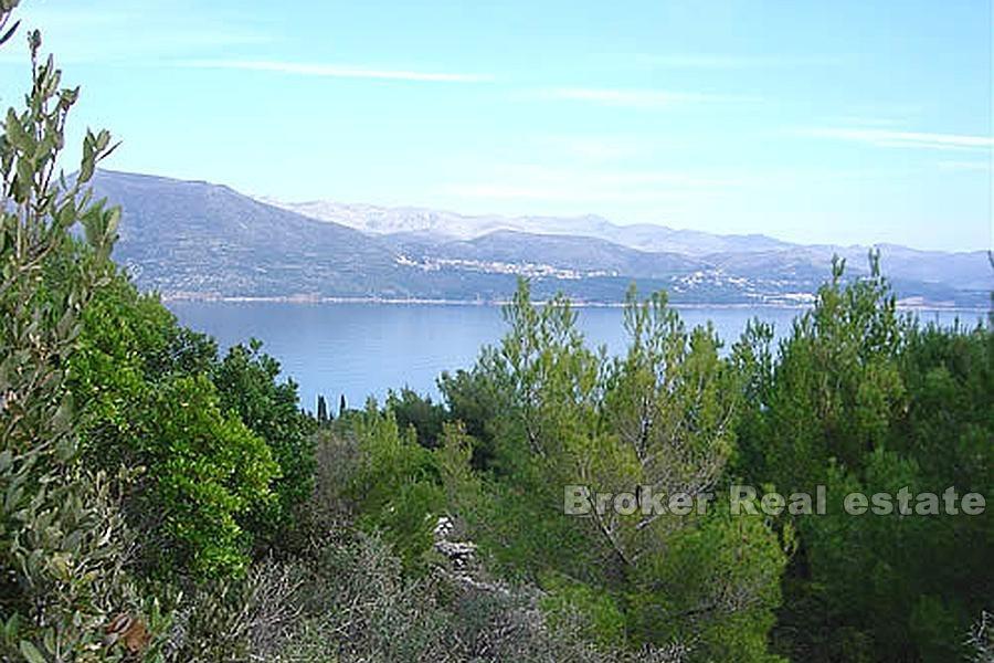 Stary kamienny dom na dużej działce