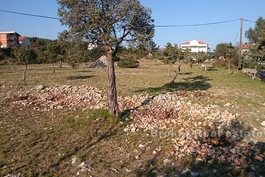 Building land near the sea