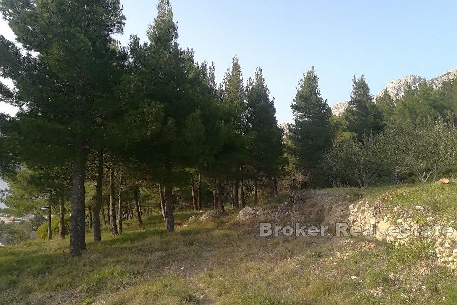 Building land with sea view