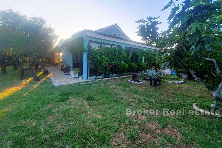 Detached house with garden