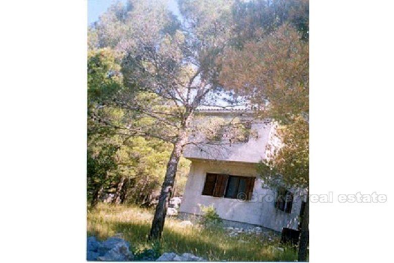 Ein Haus in der natürlichen Umgebung von Pinienwald
