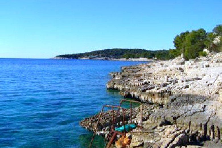 Una casa nell'ambiente naturale della pineta