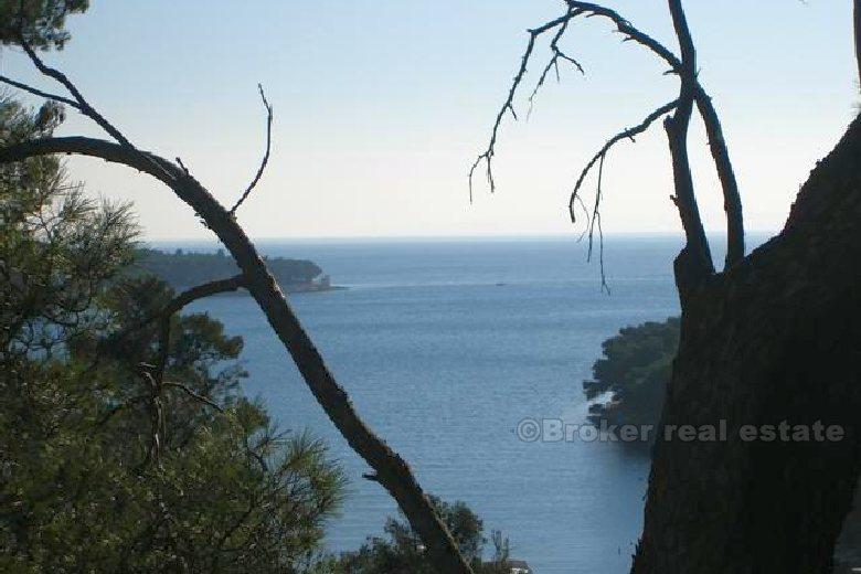 Земельный участок с двумя домами, для продажи