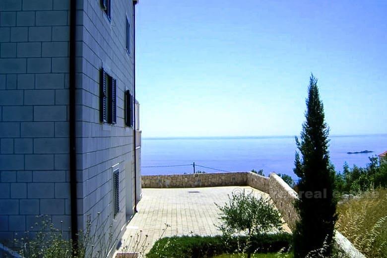 Beautiful villa with a swimming pool and 3 spacious apartments