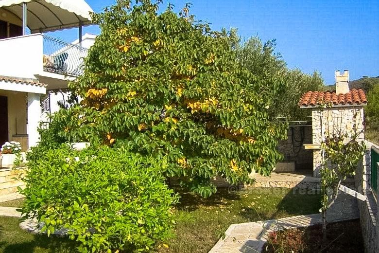 Schönes Familienhaus mit 4 getrennten Wohnungen