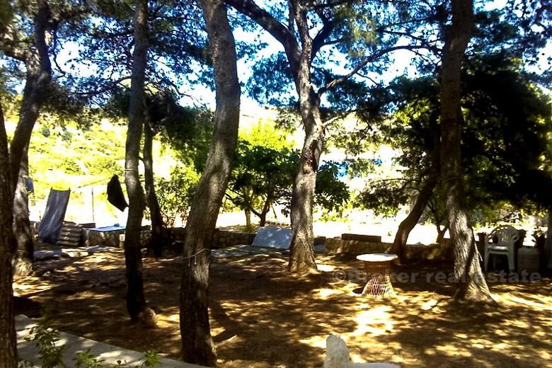 Nydelig tomannsbolig