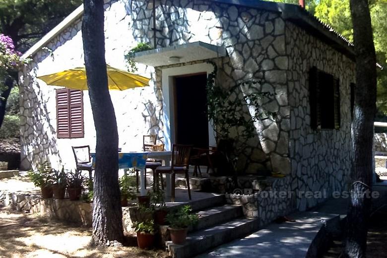 Beautiful Dalmatian stone house with garden