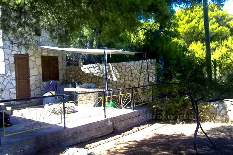 Beautiful Dalmatian stone house with garden