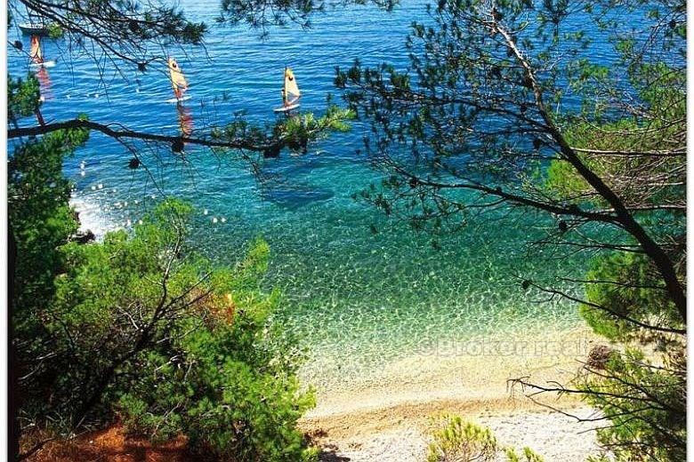 Neubau Wohnungen Haus, zum Verkauf