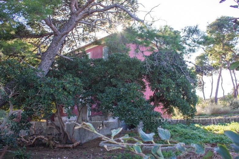 Stary dom na pierwszym rzędzie do morza, na sprzedaż