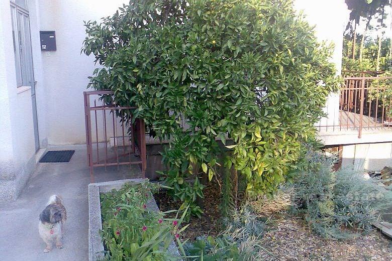 The house at the sea front