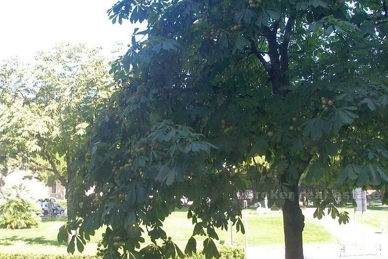 Appartamento in centro della città