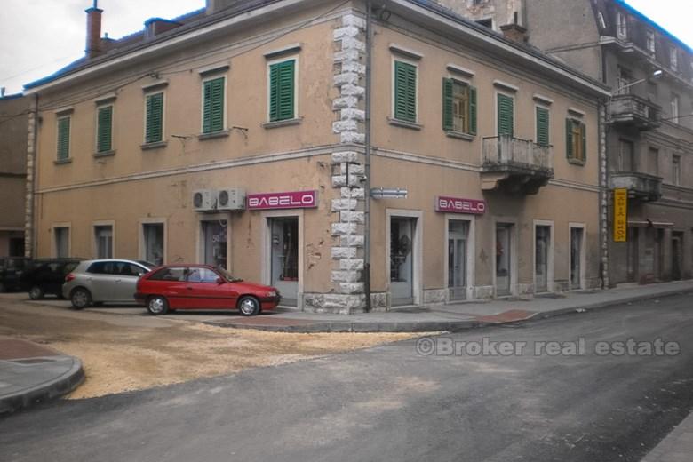 Grande maison sur 500 m2, à vendre