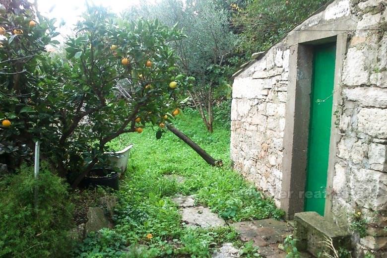 The house by the sea, for sale