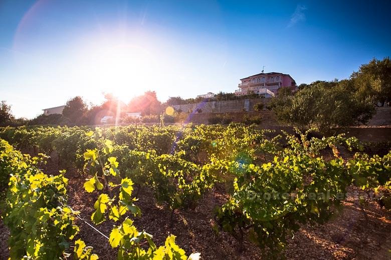 Luxusní vila s výhledem na moře, k pronájmu