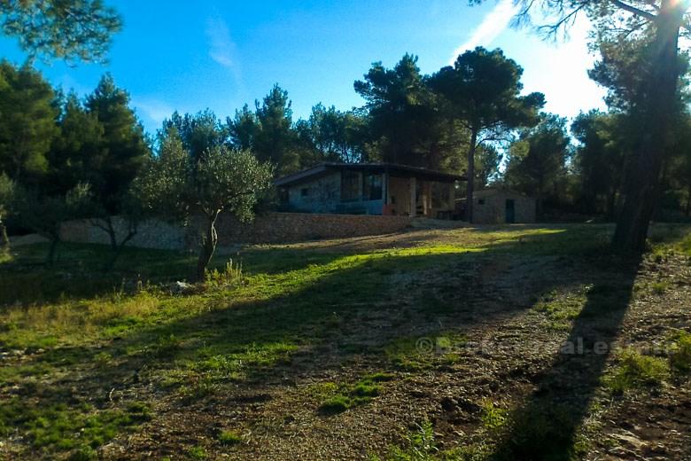 Terrain agricole avec 2 maisons