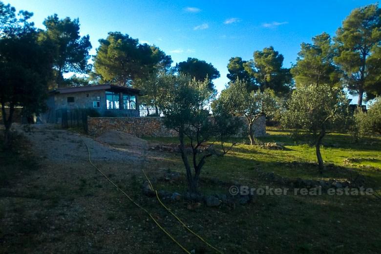 Agricultural land with 2 houses