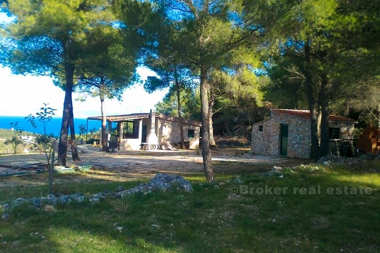Agricultural land with 2 houses
