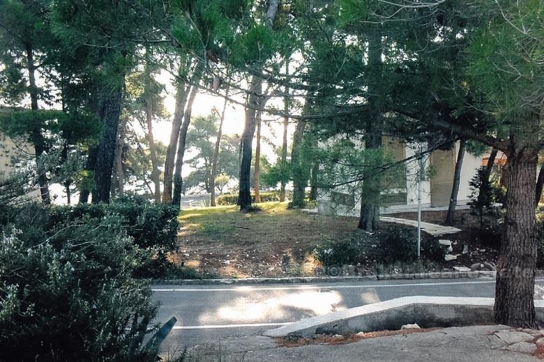 Dom z pięknym ogrodem, na sprzedaż