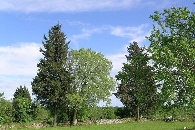 Casa bifamiliare su due piani