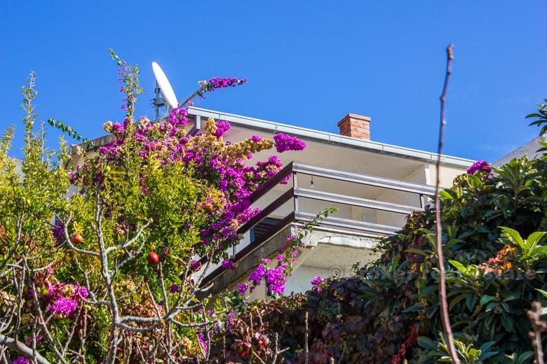 Piękny dom semidetached, na sprzedaż