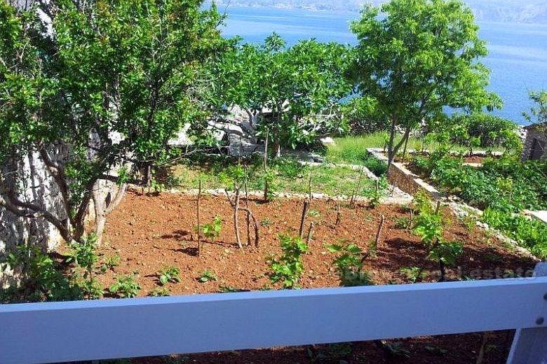 Samostatný dům k pronájmu