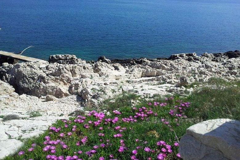 Casa indipendente, in affitto