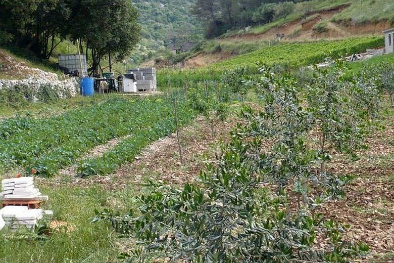 Maison dans la baie attrayante, à vendre