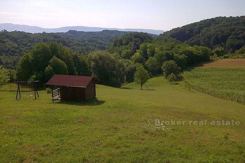 Maison de luxe avec piscine, à vendre