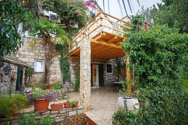 Luxury renovated house