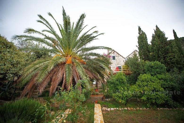 Maison de luxe rénovée