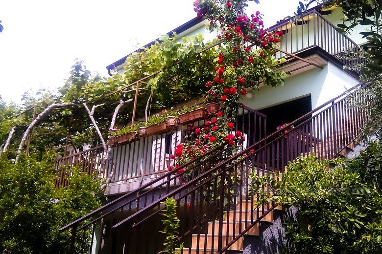 Detached family house, for sale